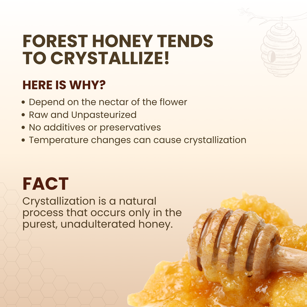 Forest Honey (Raw, Unfiltered, Unprocessed & Non-Pasteurised) 400gm