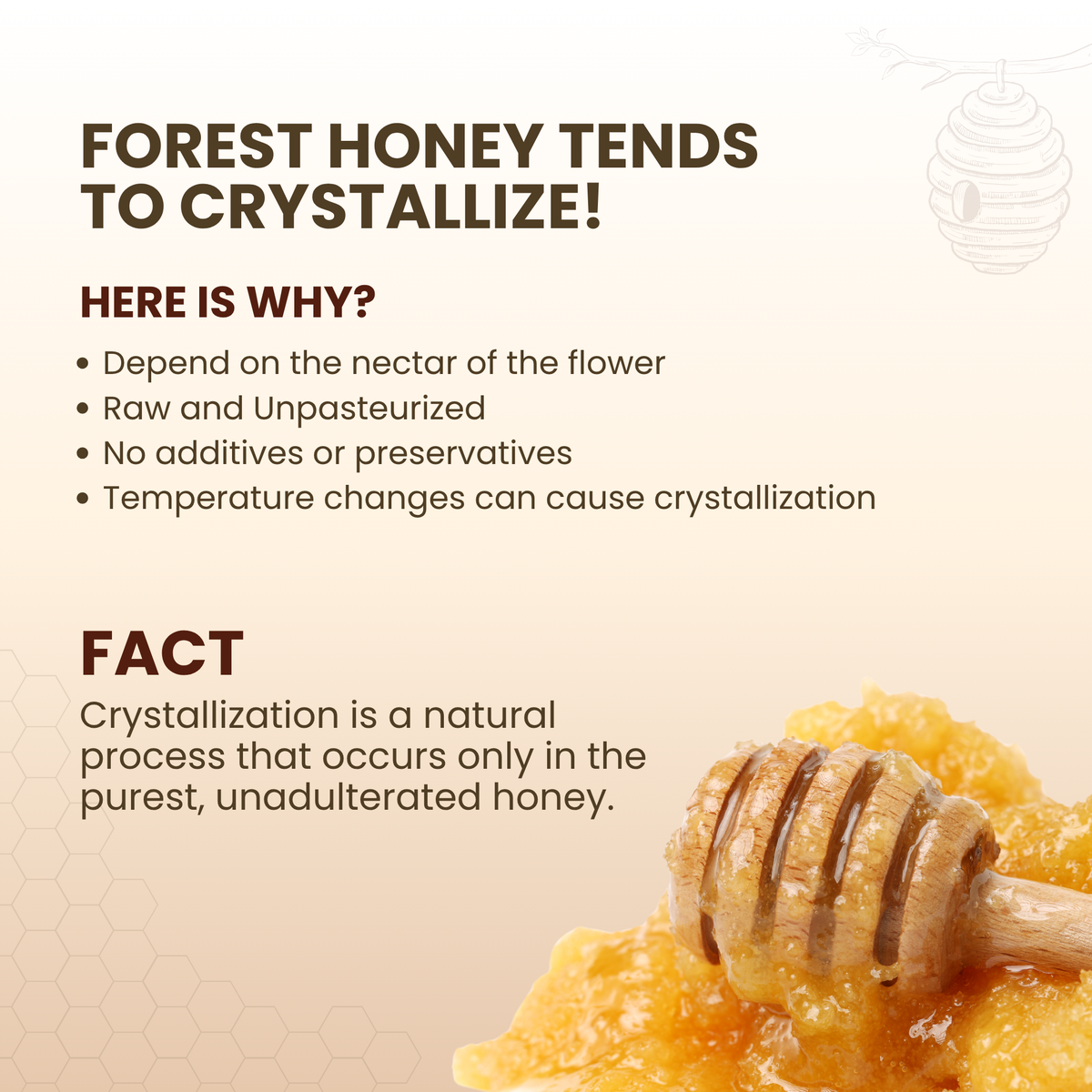 Forest Honey (Raw, Unfiltered, Unprocessed & Non-Pasteurised) 400gm